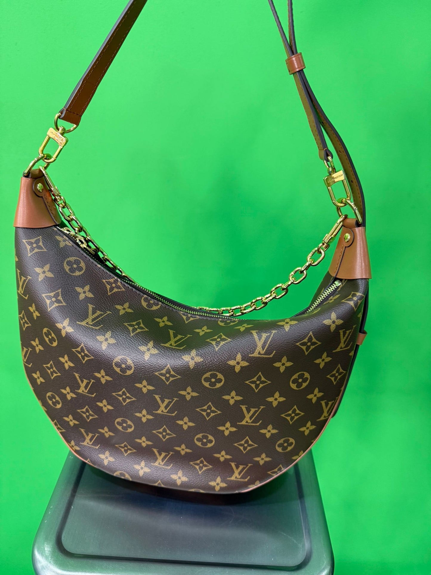 Louis Vuitton Monogram Loop Hobo Bag