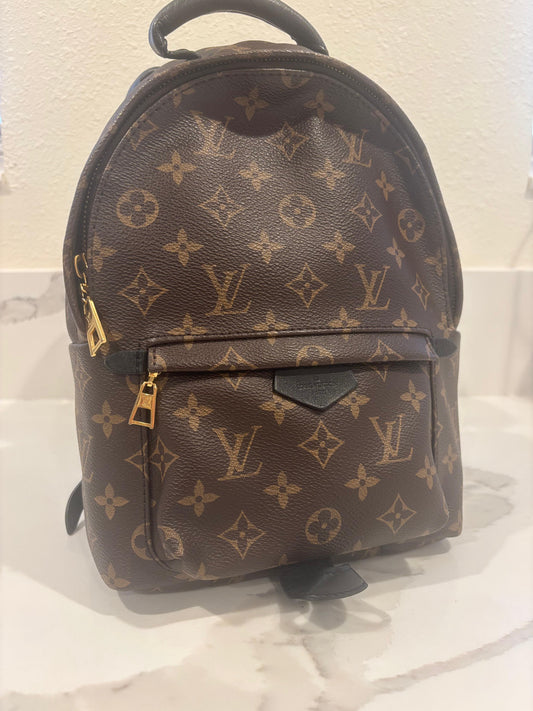 Louis Vuitton Palm Springs Backpack