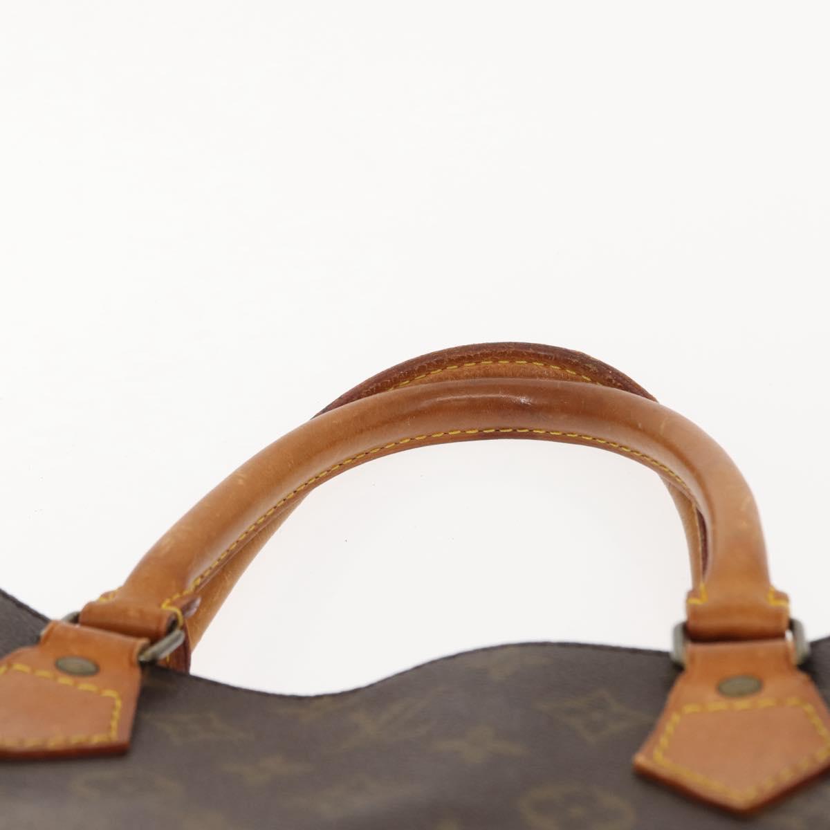 Louis Vuitton Monogram Sac Plat Hand Bag