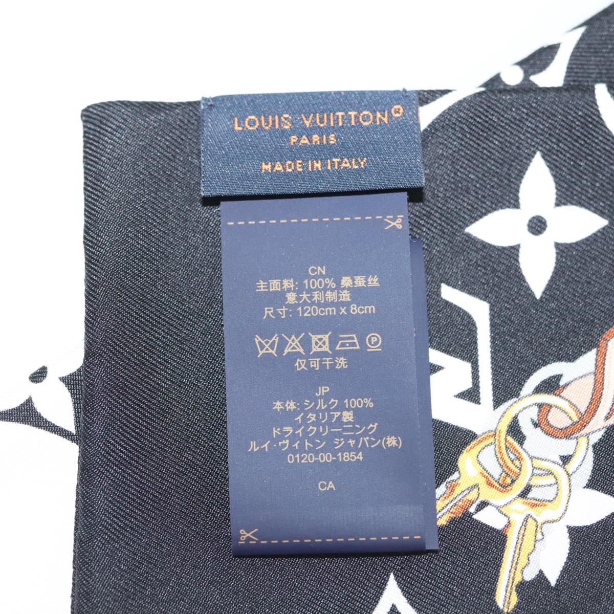 Louis Vuitton Scarf sw1433